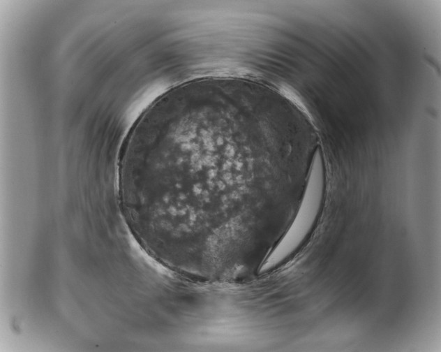 X0000100421095200806131053