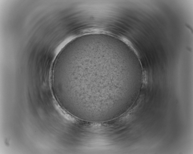 X0000100421098200806131053