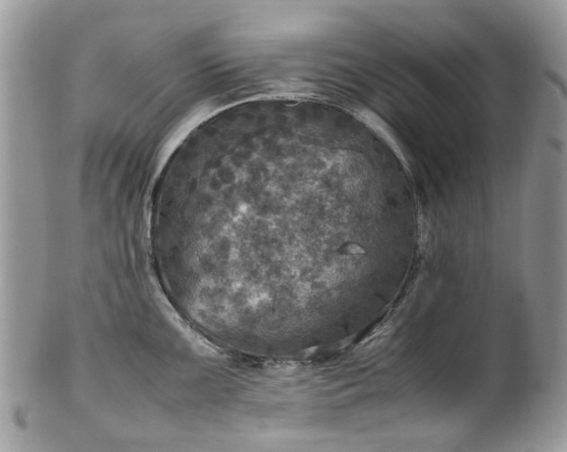 X0000100421099200806131053