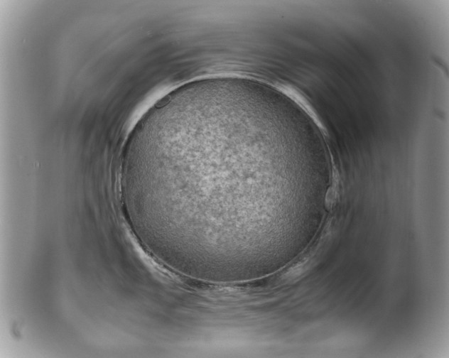 X0000100421101200806131053
