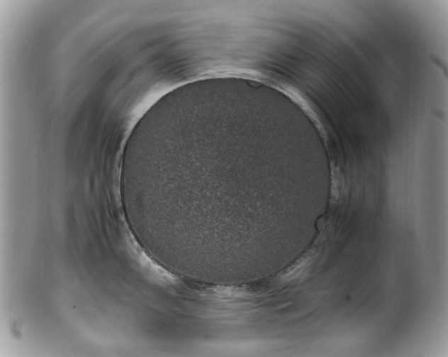 X0000100421102200806131053