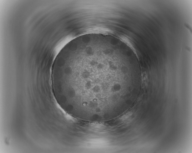 X0000100421103200806131053