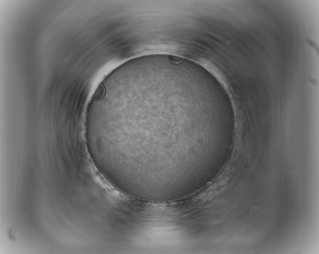X0000100421104200806131053