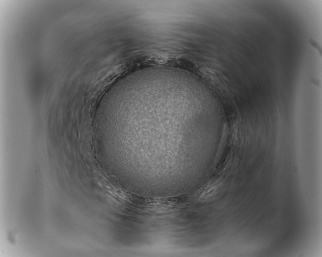 X0000100421105200806131052