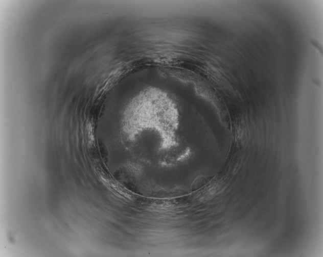 X0000100421106200806131052