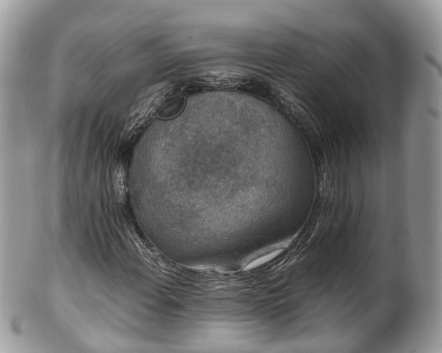 X0000100421108200806131052