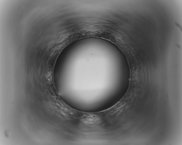 X0000100421109200806131052