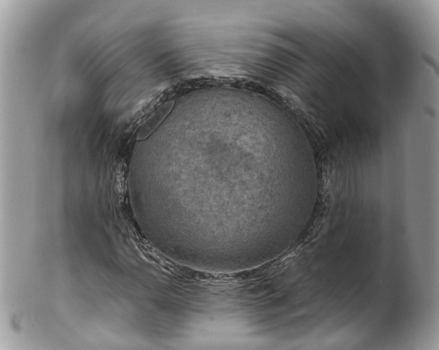 X0000100421110200806131052