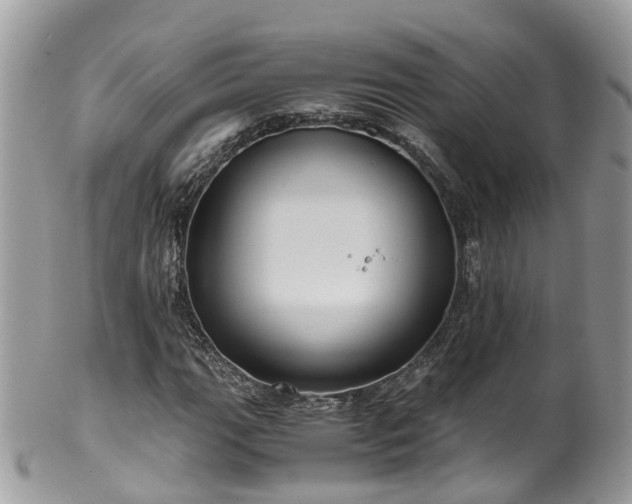X0000100421111200806131052