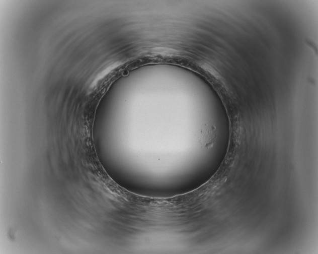 X0000100421112200806131052