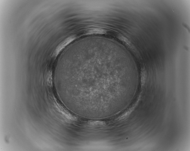 X0000100421113200806131052