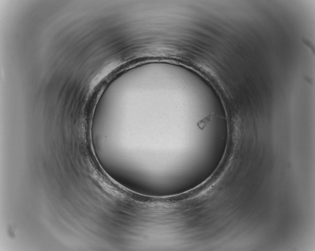 X0000100421114200806131052