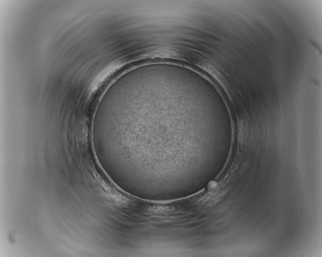 X0000100421115200806131052