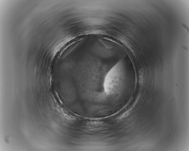 X0000100421117200806131052