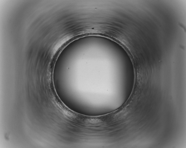 X0000100421119200806131052