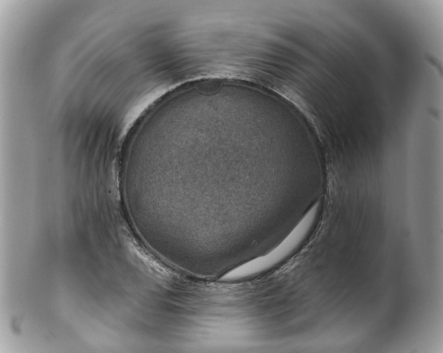 X0000100421120200806131052