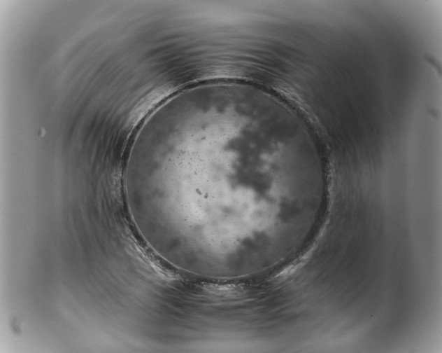 X0000100421121200806131052