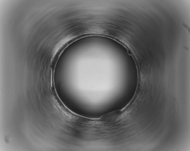 X0000100421123200806131052
