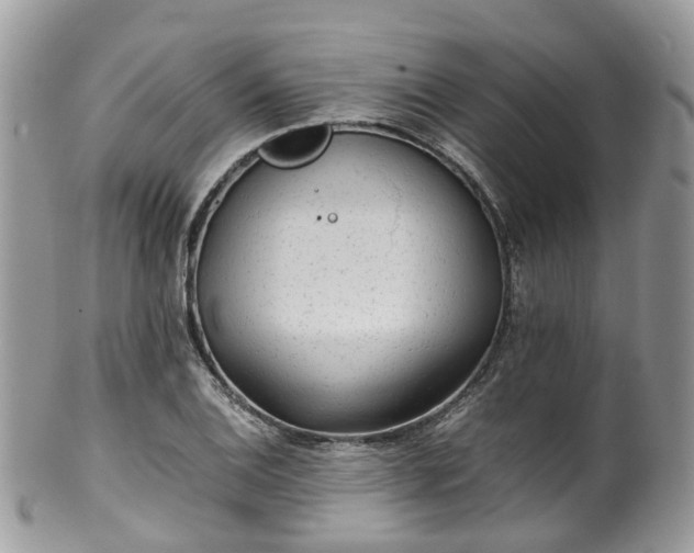 X0000100421124200806131052