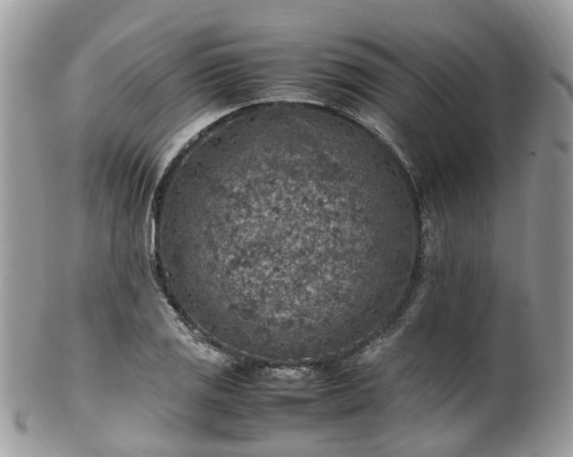 X0000100421125200806131052
