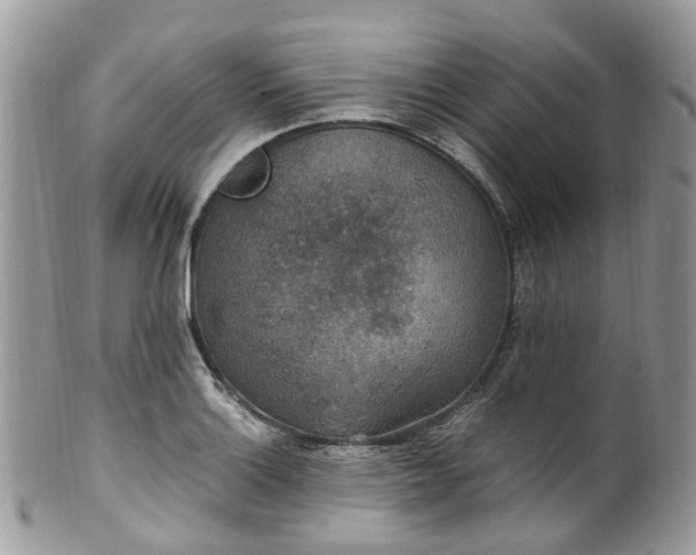 X0000100421132200806131053