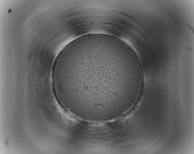 X0000100421133200806131053