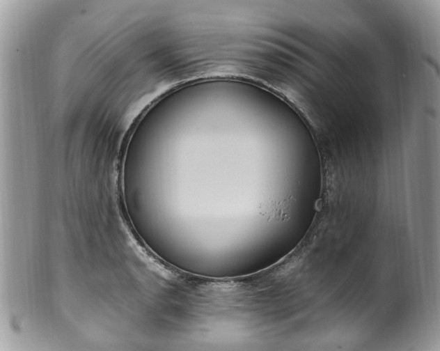 X0000100421134200806131053