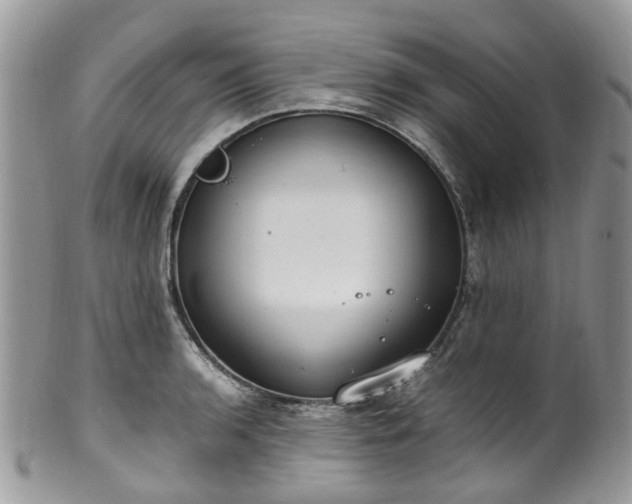 X0000100421136200806131053