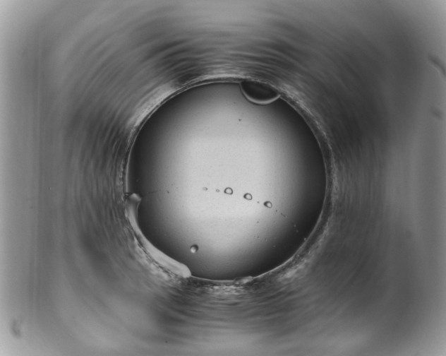 X0000100421137200806131053
