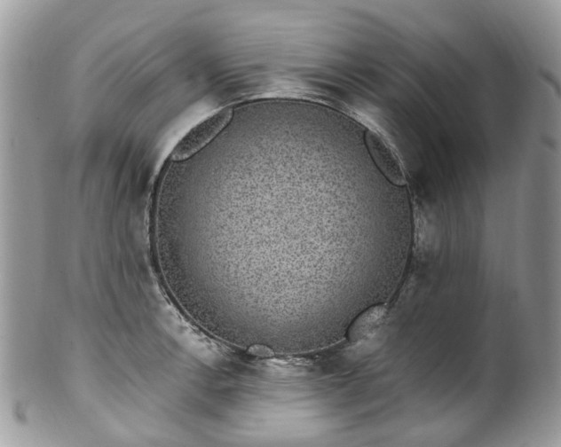 X0000100421138200806131053