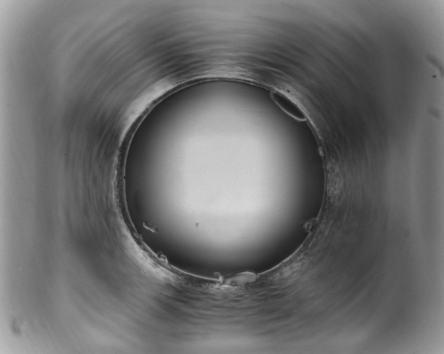 X0000100421139200806131053