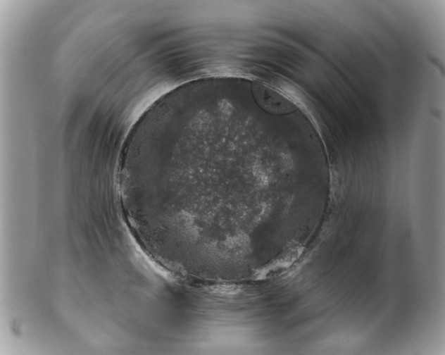 X0000100421141200806131053