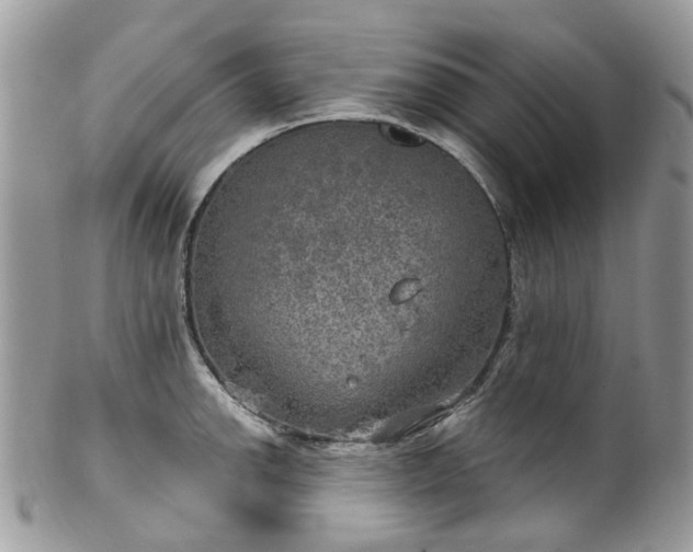 X0000100421142200806131053