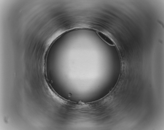X0000100421143200806131053