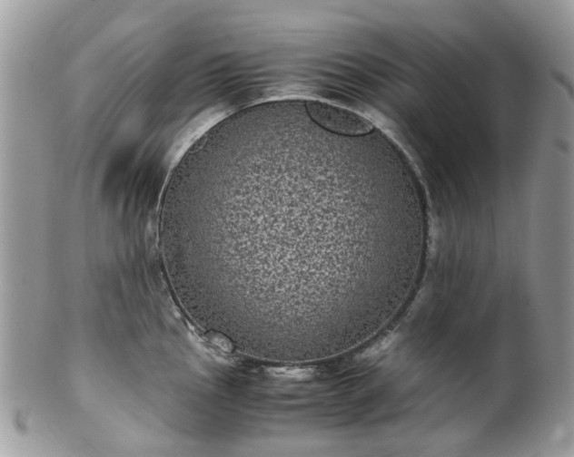 X0000100421145200806131053