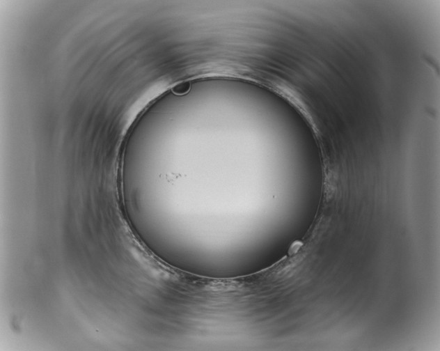 X0000100421146200806131053