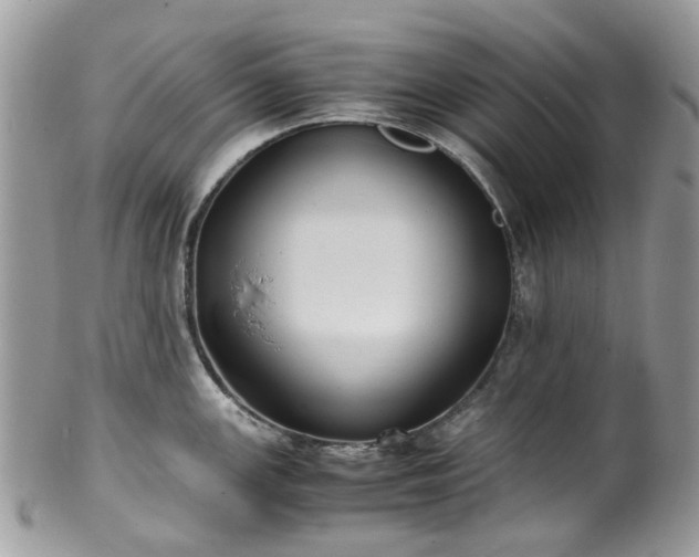 X0000100421147200806131053