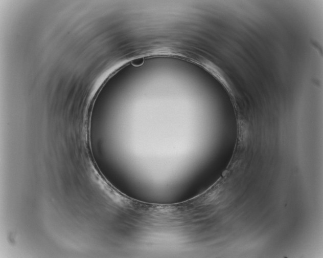 X0000100421148200806131053