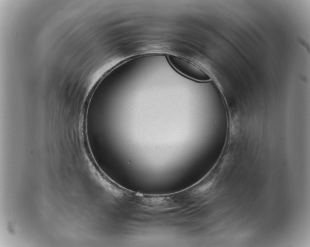X0000100421149200806131053