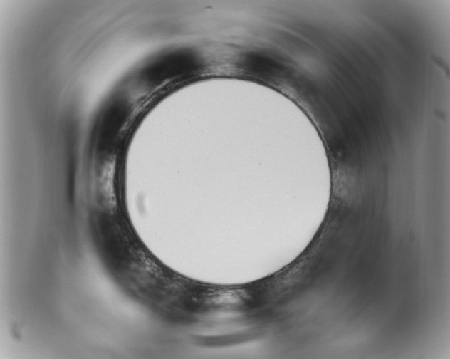 X0000100421150200806131053