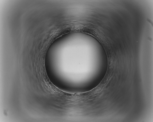 X0000100421153200806131052