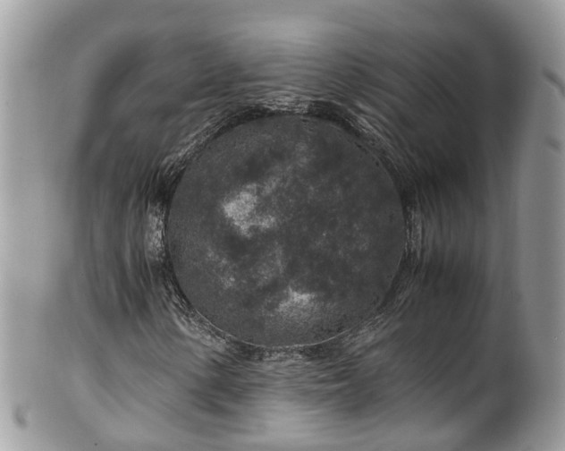 X0000100421154200806131052