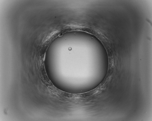 X0000100421157200806131052