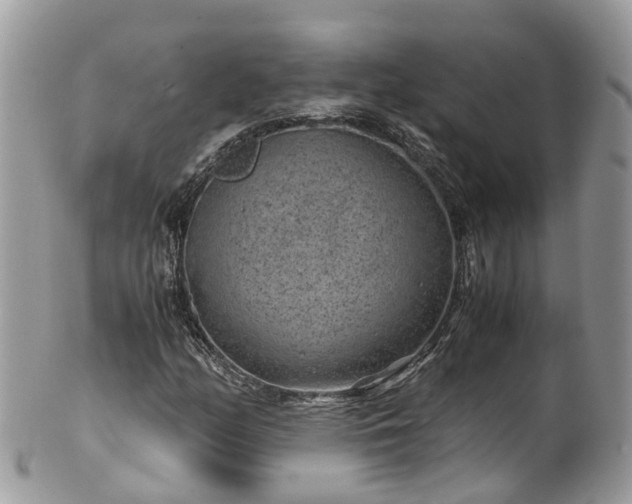 X0000100421158200806131052