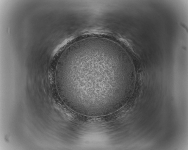 X0000100421159200806131052