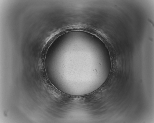 X0000100421160200806131052