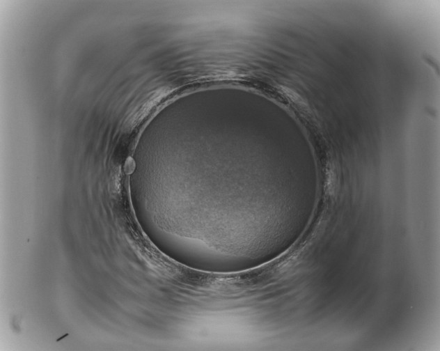 X0000100421161200806131052