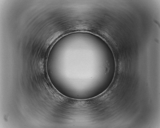 X0000100421162200806131052