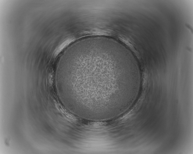 X0000100421163200806131052
