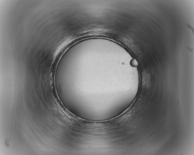 X0000100421164200806131052